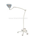 Portable beauty examination lamp